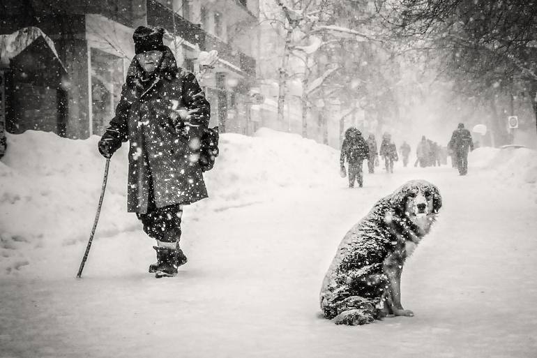 Original  Photography by stefan kamenov
