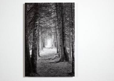 Through the forest - Limited Edition of 10 thumb