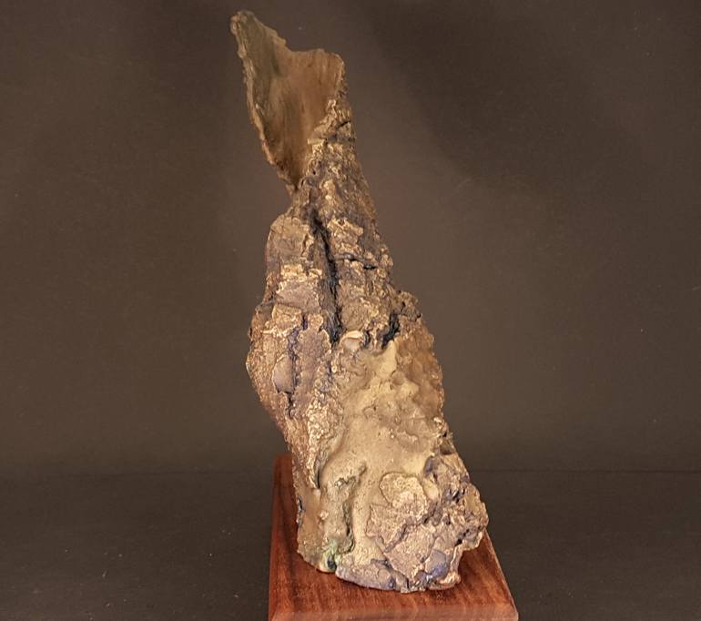 Original Fine Art Nature Sculpture by Wichert van Engelen