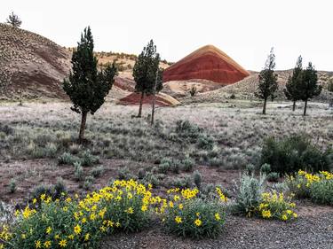 Painted Hills spring thumb