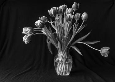 tulips - Limited Edition of 10 thumb