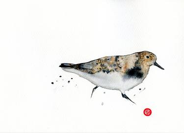 Little stint watercolor thumb