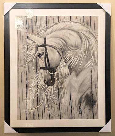 Original Abstract Horse Drawings by Mobeen Jaffri