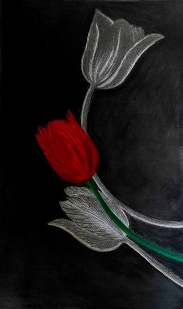 Original Fine Art Floral Drawings by Mobeen Jaffri