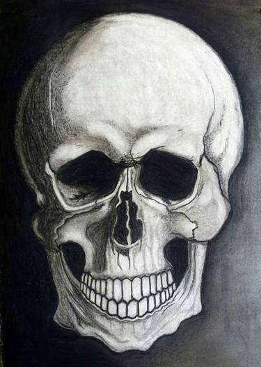Human Skull Drawing thumb