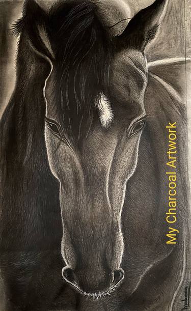 Charcoal Artistry - Black Horse - Mounted Black Frame with Glass thumb