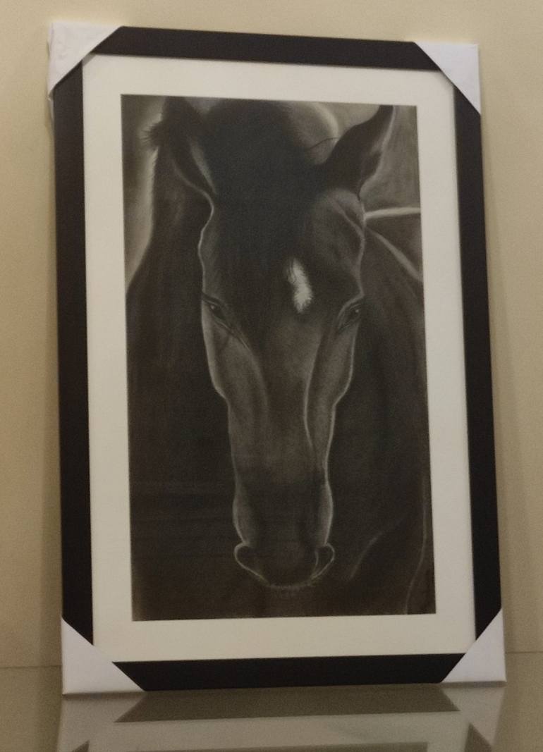 Original Fine Art Horse Drawing by Mobeen Jaffri