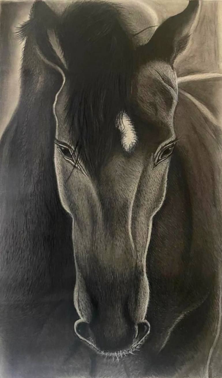 Original Horse Drawing by Mobeen Jaffri