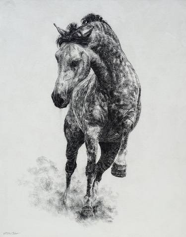 Original Realism Animal Drawings by Rattapon Pirat