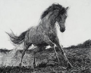 Original Contemporary Animal Drawings by Rattapon Pirat