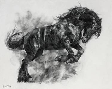 Print of Realism Animal Drawings by Rattapon Pirat
