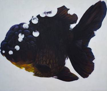 Black Goldfish : I Have 11 Brilliant Ideas thumb