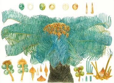 Print of Illustration Botanic Paintings by Sansanee Deekrajang