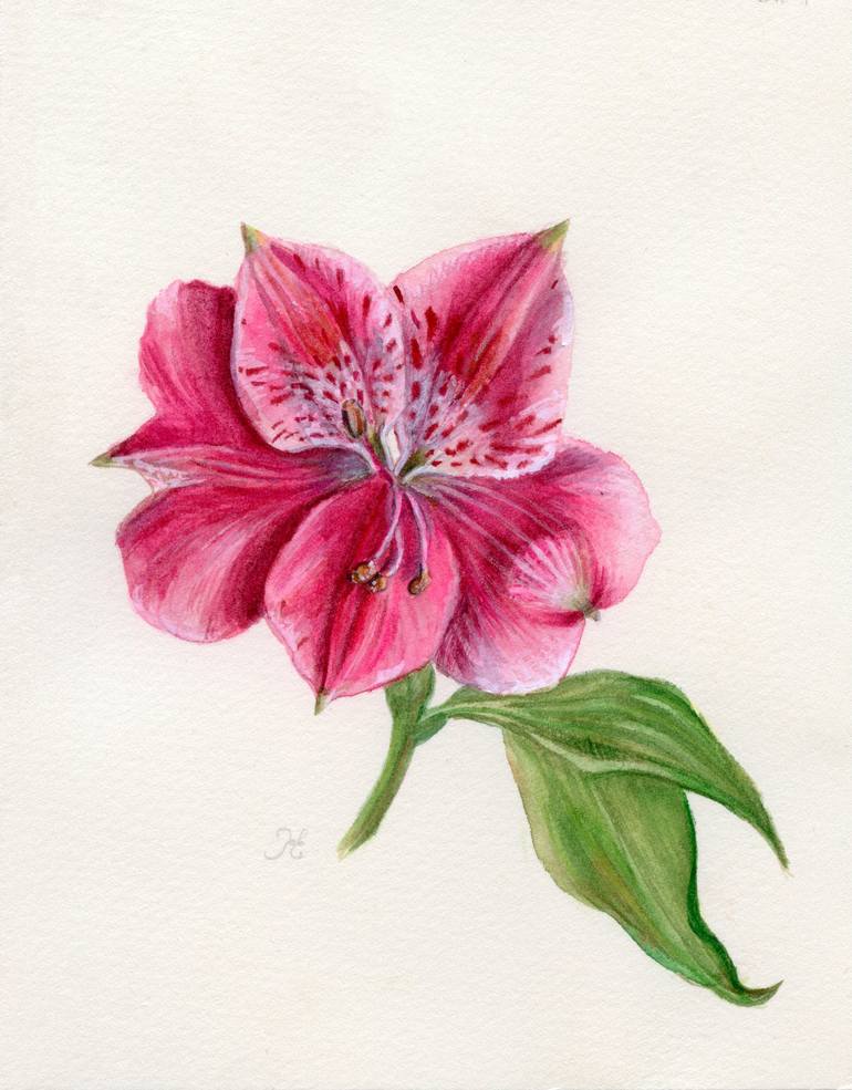 miniature watercolor flowers botanical watercolor