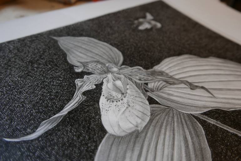 Original Figurative Floral Drawing by Kate Koss