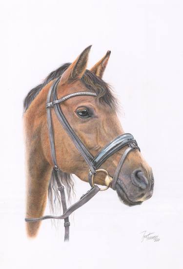 Print of Realism Horse Drawings by Igor Katliarski