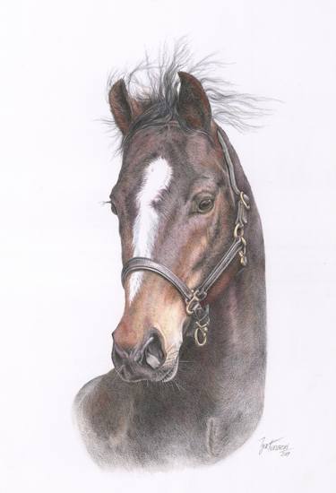 Print of Realism Horse Drawings by Igor Katliarski