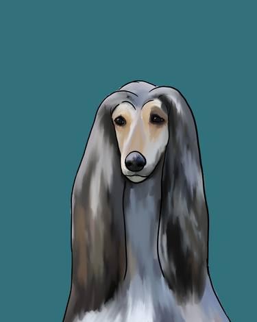 Afghan Hound thumb