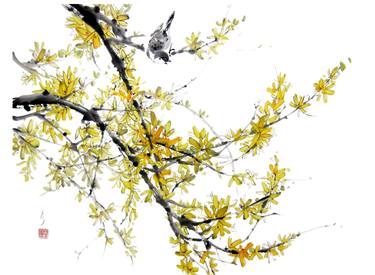 Blooming forsythia and sparrow thumb