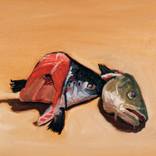 Salmon and Cod Heads by Mark Pacheco