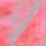 Unspoken Grace by Misako Chida