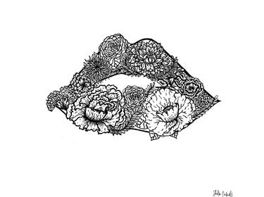 Original Floral Drawings by Shelbi Cardwell