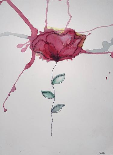 Original Floral Drawings by Shelbi Cardwell