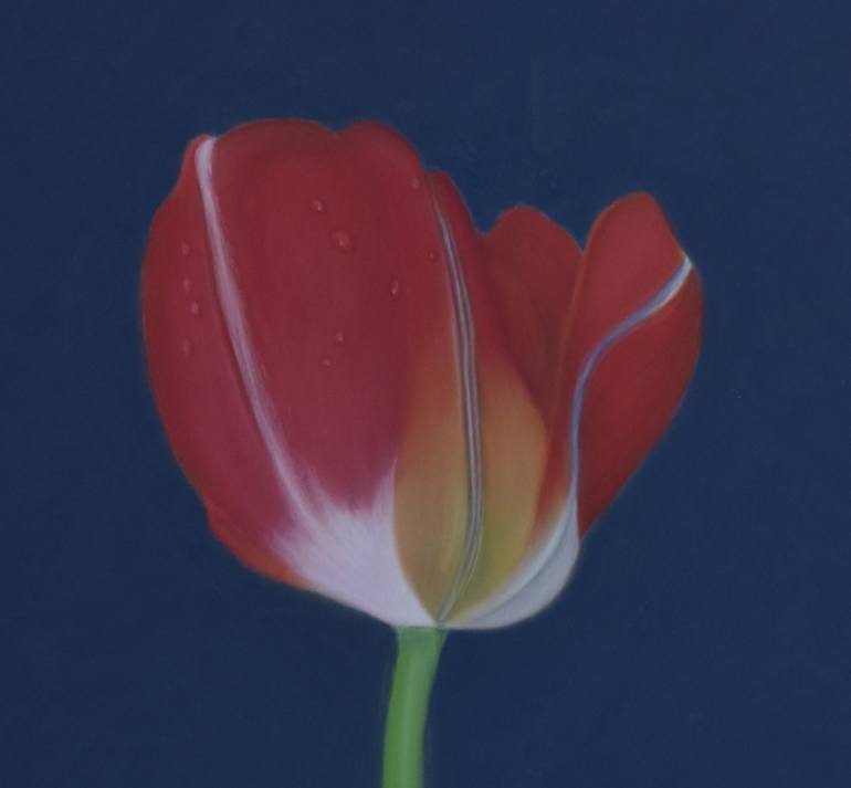 Original Contemporary Floral Drawing by Tee Rose