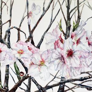 White flowers on trees