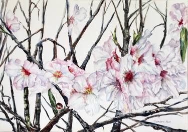 Original Impressionism Botanic Paintings by LIUDMILA SIKORSKIY