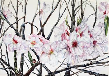 Print of Impressionism Botanic Paintings by LIUDMILA SIKORSKIY