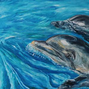 Dolphins