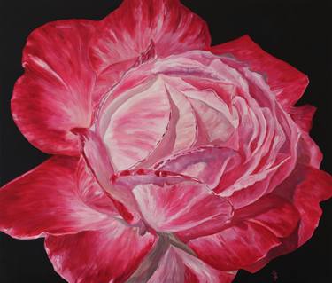 RED ROSE.  OIL 70x60cm thumb