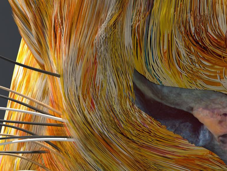 Original Digital Art Animal Digital by Timothy Mcgill