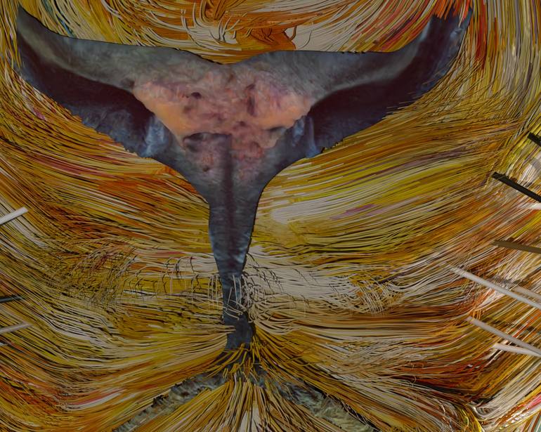Original Digital Art Animal Digital by Timothy Mcgill
