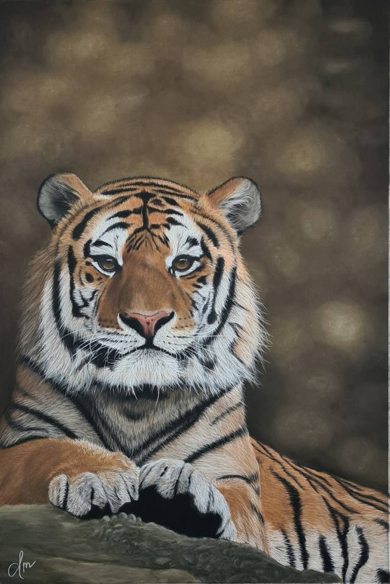 Original Fine Art Animal Drawing by Denise Martens