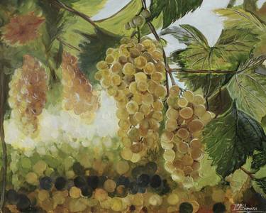 Wineyards sunny landscape oil painting 40*50 cm. Grapes, nature and sunlight. Original and unique oil painting by Liza Illichmann thumb