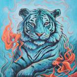 Collection TIGERs new year 2022 ТИГРЫ Новый год 2022