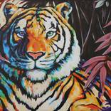 Collection TIGERs new year 2022 ТИГРЫ Новый год 2022