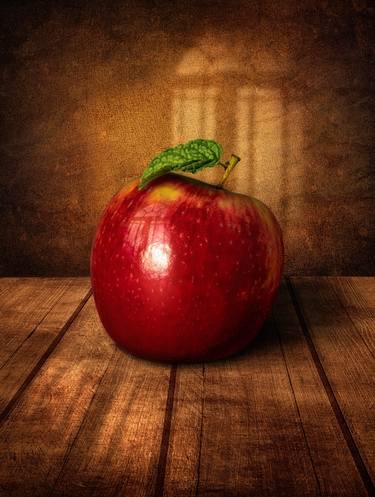 Original Still Life Photography by Eddy Terrington