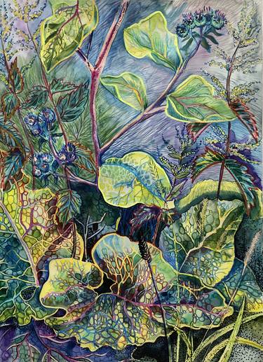 Print of Expressionism Botanic Drawings by Olga Beltsova