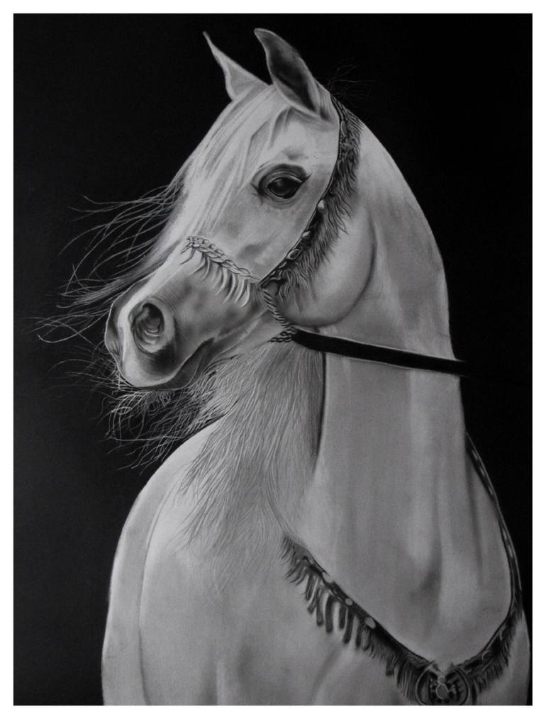 Arabian Horse Drawing by Bharat Rai | Saatchi Art