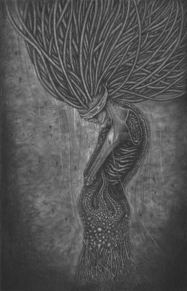 Original Surrealism Abstract Drawings by Gwendlyn Elwe