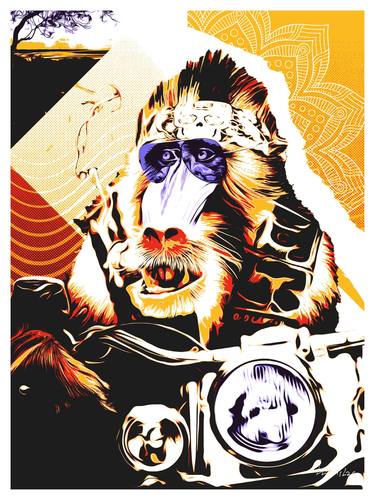 MONKEY BIKER - CAPTAIN "ORANGE" - Limited Edition of 20 thumb