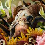 Spring Awakening by Samantha DeCarlo