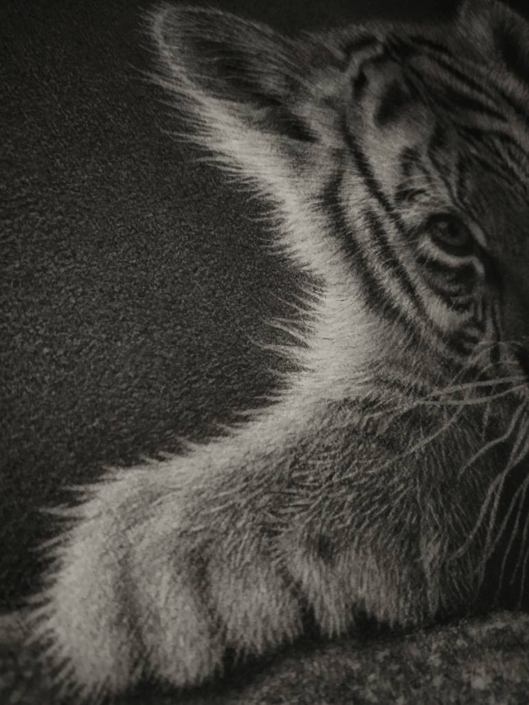 Original Figurative Animal Drawing by Hernawan Palastian