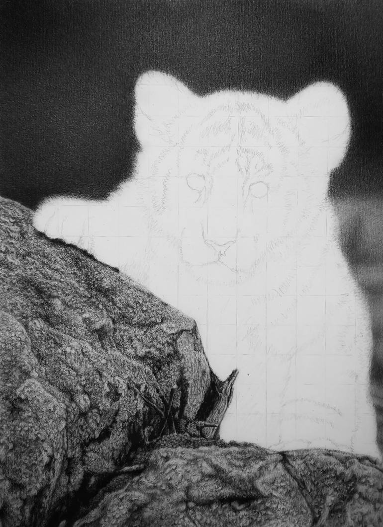 Original Figurative Animal Drawing by Hernawan Palastian