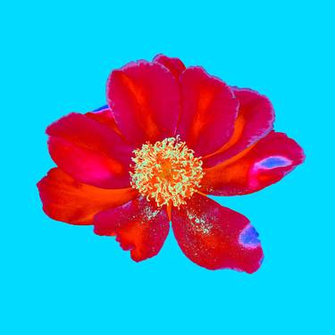 "Fortune Flower"-#01 thumb