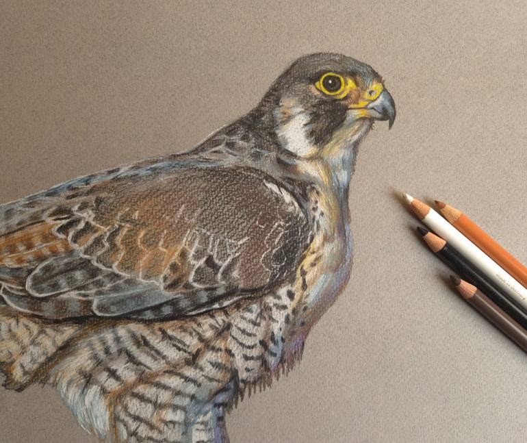 Original Realism Animal Drawing by Tigran Abramyan