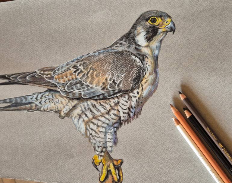Original Realism Animal Drawing by Tigran Abramyan